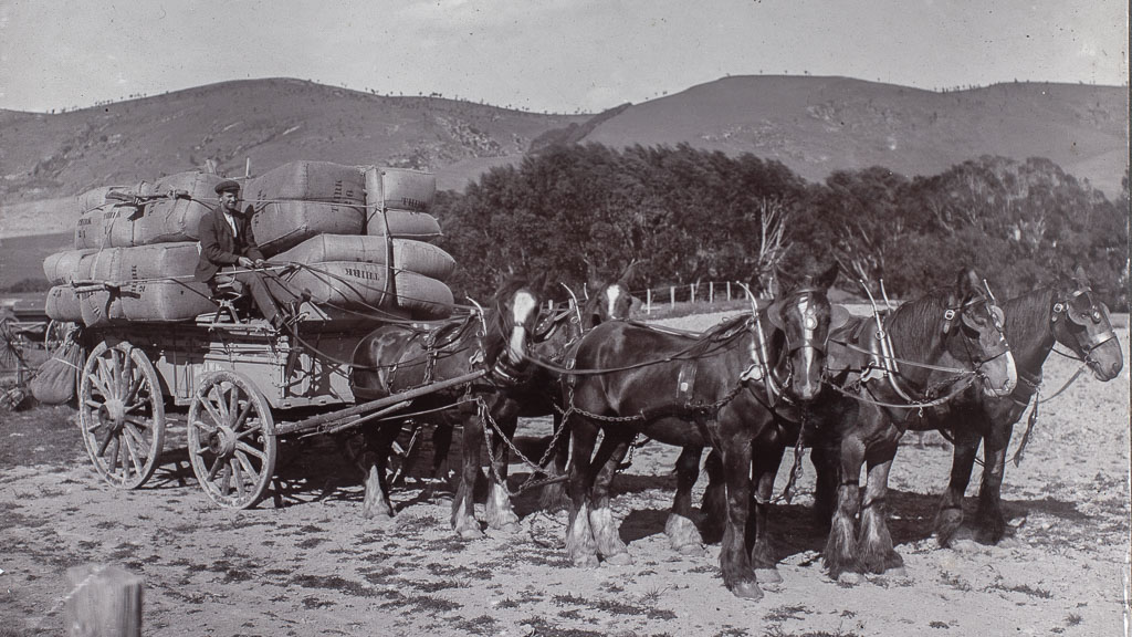 \Wool wagon at Cannington