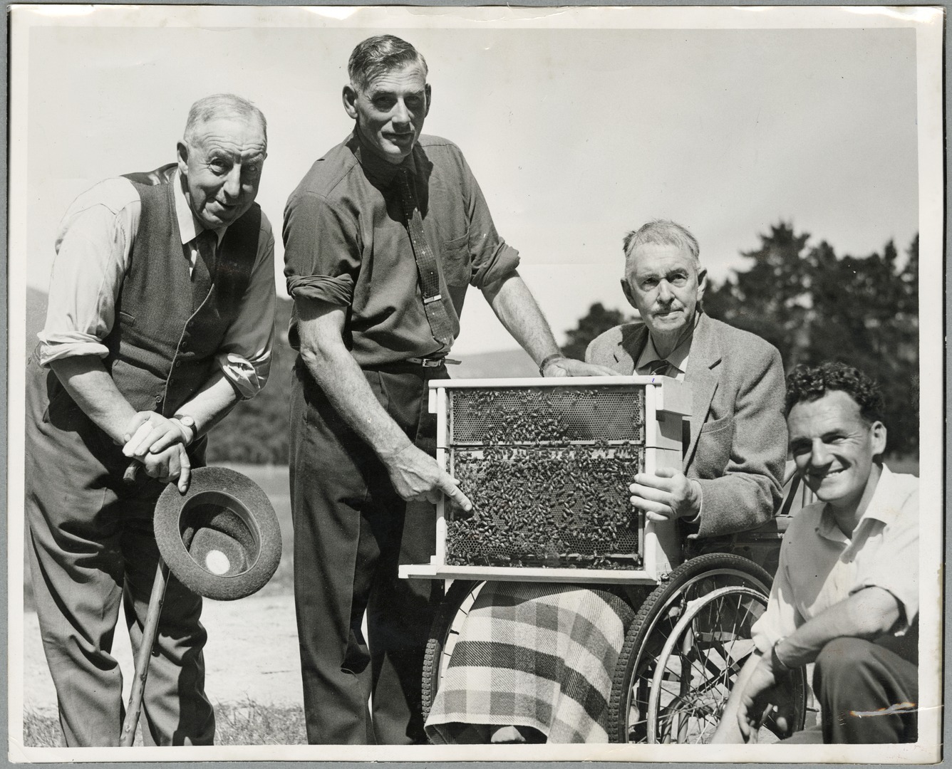 New Zealand Beekeepers' Association at Tai Tapu Domain