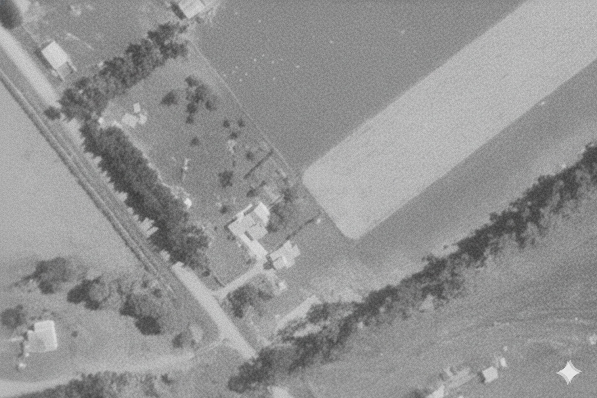 Bertie, Sarah, Harry Cloake with Amy Couling